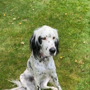 Meet your Posher, Mara